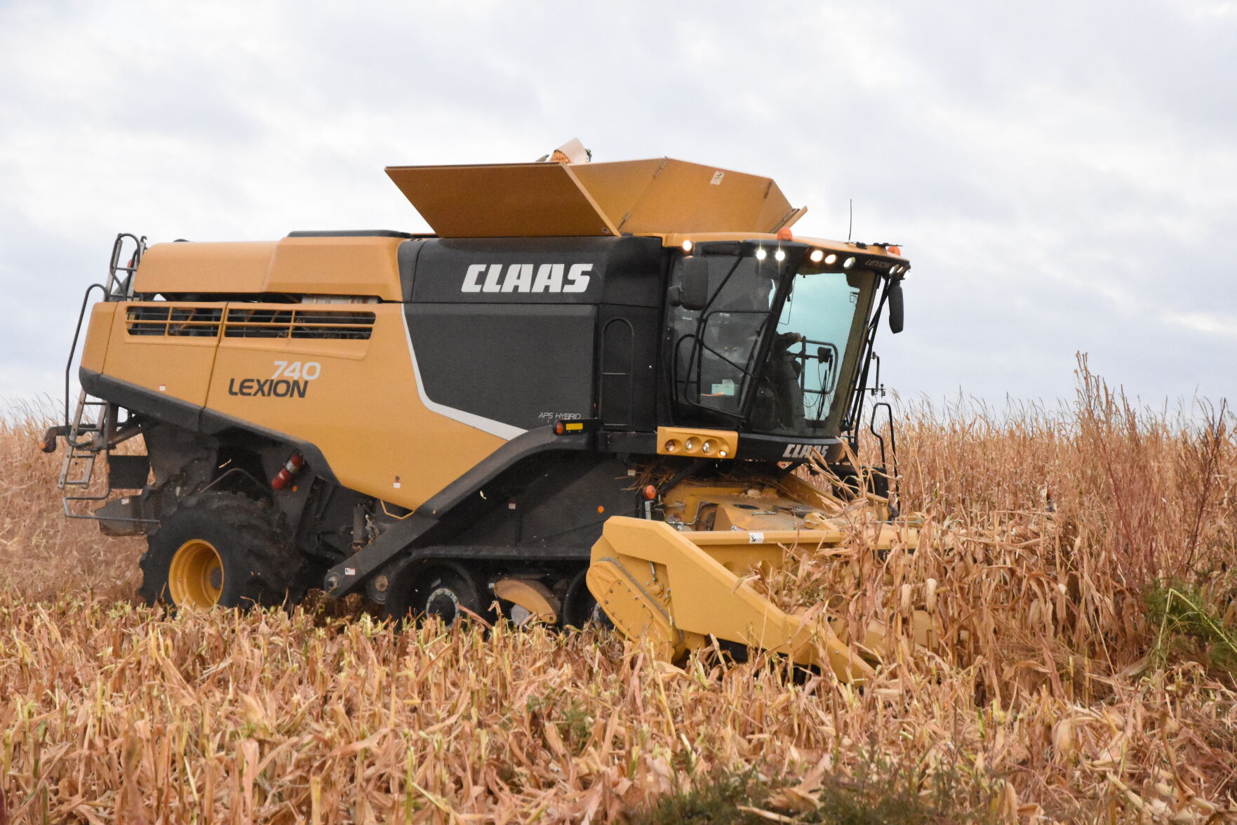 Rempel Harvest (36).JPG